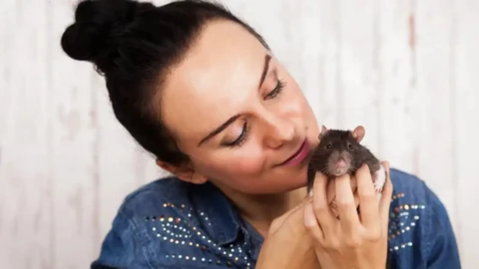 how to make rat in infinite craft