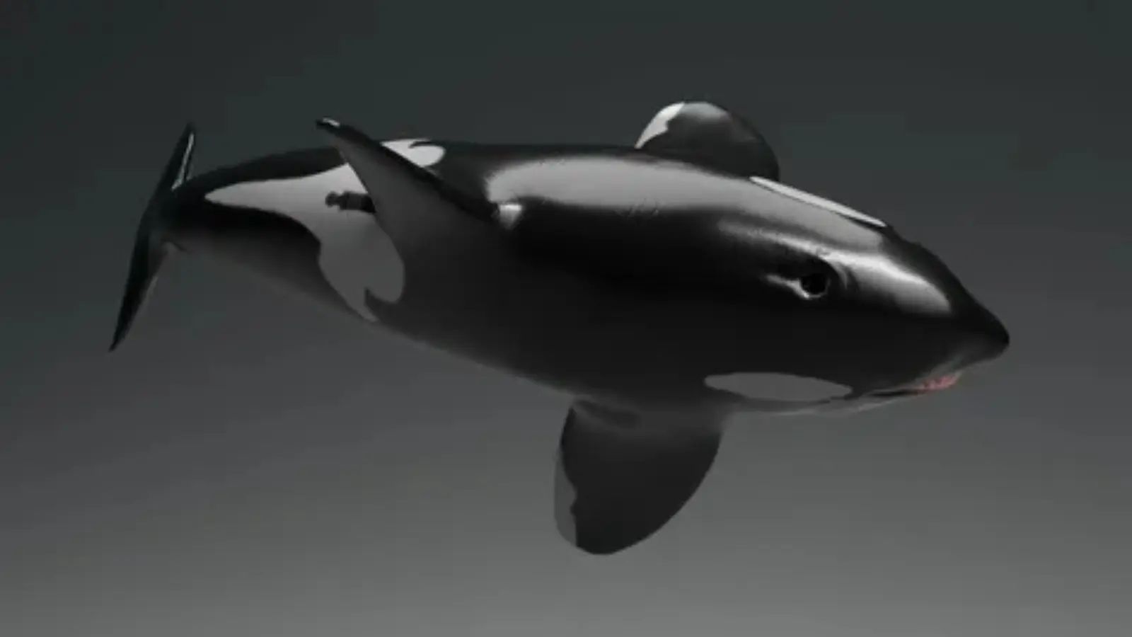 how to make whale in infinite craft